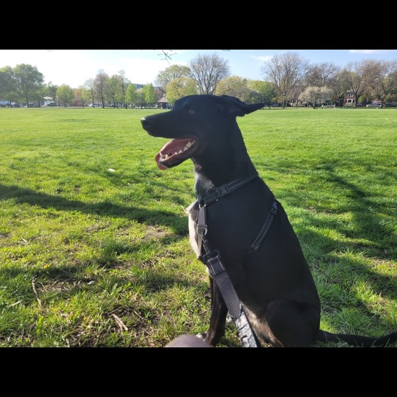 Meet your Posher, Kate - Picture 3 of 3